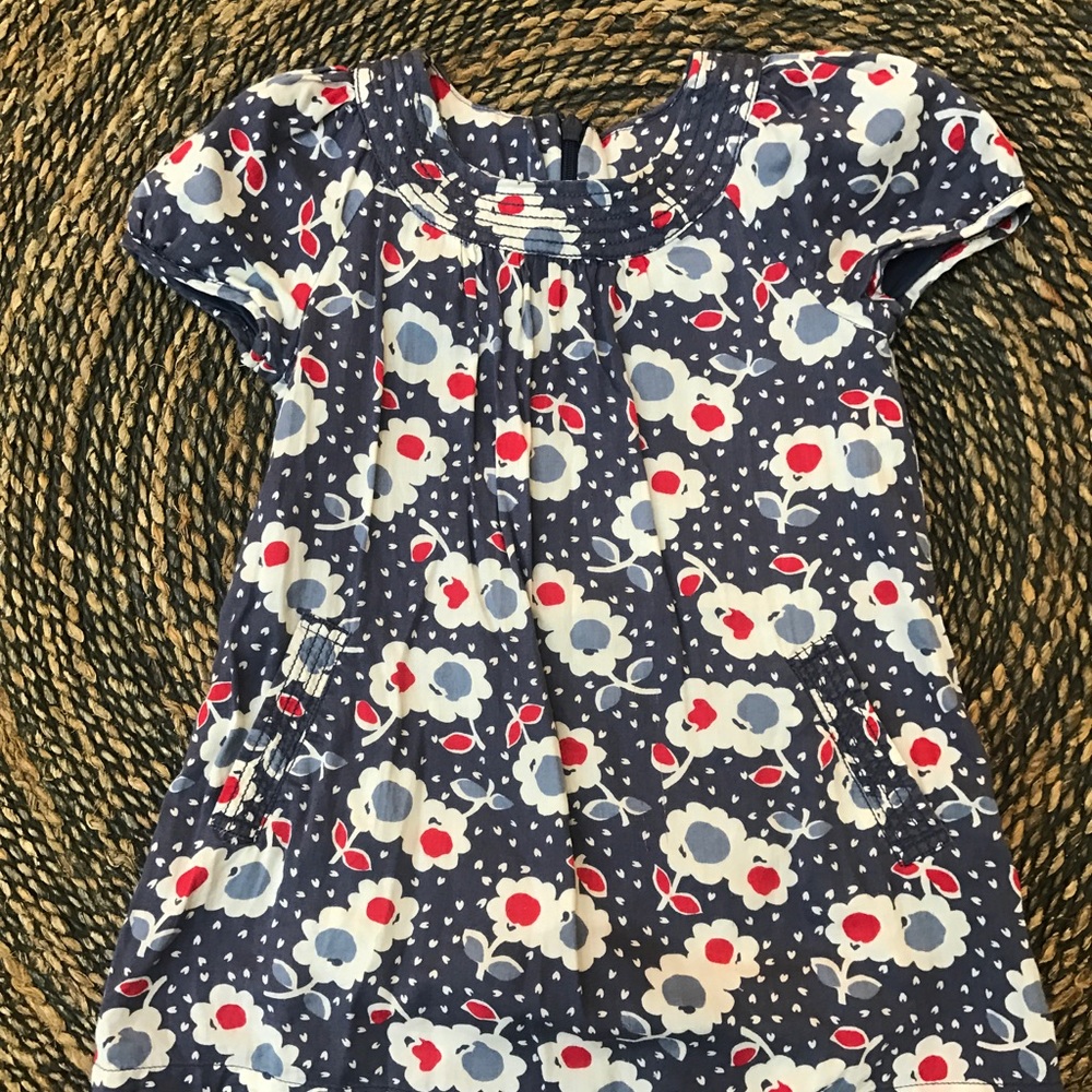 Mini Boden Dress 2-3 EUC